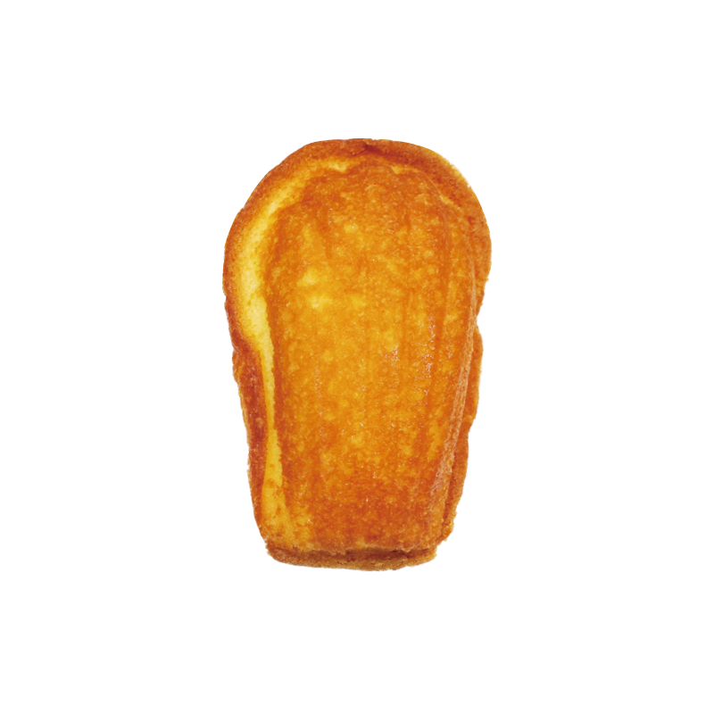 瑪德蓮